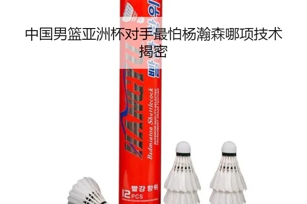 中国男篮亚洲杯对手最怕杨瀚森哪项技术揭密